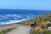 2 Day Kangaroo Island Adventure Tour