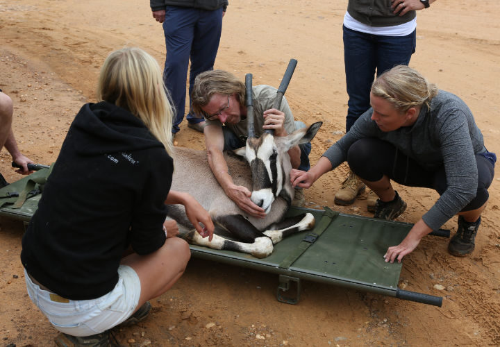 Namibia wildlife rescue front 1