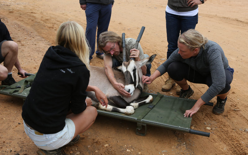 Namibia wildlife rescue front 1